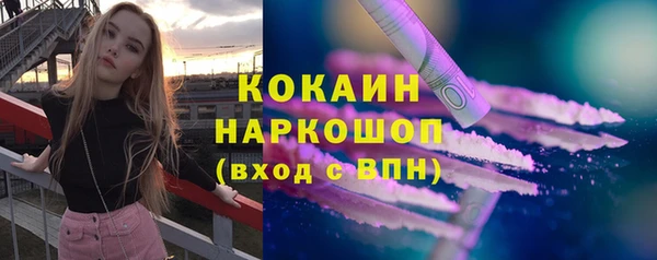 тгк Алексин