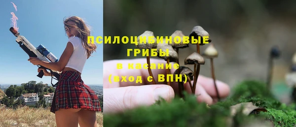 хмурый Абаза